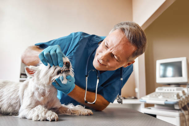 Best Emergency Root Canal Treatment in Carthage, TX