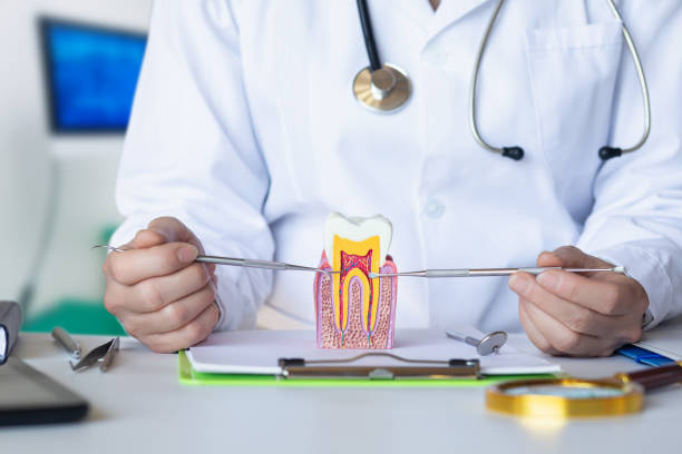 Best Emergency Dental Care for Trauma or Injury in Carthage, TX